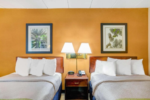 Motel 6-Milford, CT image 14